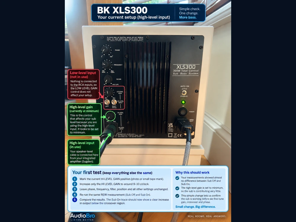 Annotated BK XLS300 rear panel showing the high-level input in use and the relevant gain control.
